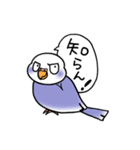 "セキセイインコの日常" 鳥さんと一緒04（個別スタンプ：33）