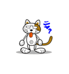 やさぐれ！「ねこ丸」 こんにちわだっ！！（個別スタンプ：1）