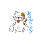 やさぐれ！「ねこ丸」 こんにちわだっ！！（個別スタンプ：19）