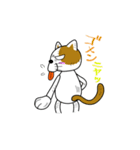 やさぐれ！「ねこ丸」 こんにちわだっ！！（個別スタンプ：20）