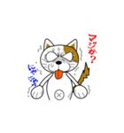 やさぐれ！「ねこ丸」 こんにちわだっ！！（個別スタンプ：22）