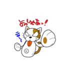 やさぐれ！「ねこ丸」 こんにちわだっ！！（個別スタンプ：23）