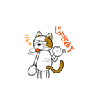 やさぐれ！「ねこ丸」 こんにちわだっ！！（個別スタンプ：32）