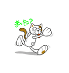 やさぐれ！「ねこ丸」 こんにちわだっ！！（個別スタンプ：33）