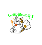 やさぐれ！「ねこ丸」 こんにちわだっ！！（個別スタンプ：34）