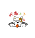 やさぐれ！「ねこ丸」 こんにちわだっ！！（個別スタンプ：35）