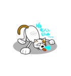やさぐれ！「ねこ丸」 こんにちわだっ！！（個別スタンプ：39）