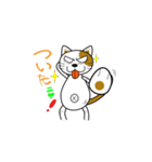 やさぐれ！「ねこ丸」 こんにちわだっ！！（個別スタンプ：40）