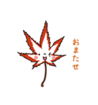 もみじ5（個別スタンプ：19）