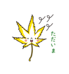 もみじ5（個別スタンプ：20）