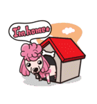 iinu プードル（個別スタンプ：26）