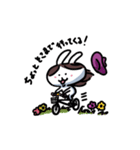 あおばうさぎ（個別スタンプ：11）