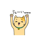 色猫（個別スタンプ：10）