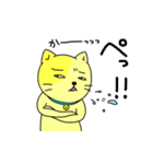 色猫（個別スタンプ：16）