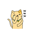 色猫（個別スタンプ：17）