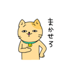 色猫（個別スタンプ：22）