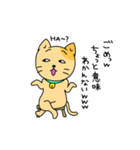 色猫（個別スタンプ：24）