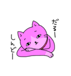 色猫（個別スタンプ：34）