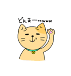 色猫（個別スタンプ：37）