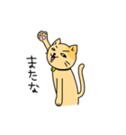 色猫（個別スタンプ：40）
