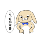 ブブとクッキー（個別スタンプ：5）