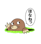 ブブとクッキー（個別スタンプ：40）