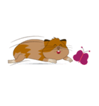 Jimmy - the crazy guinea pig（個別スタンプ：11）