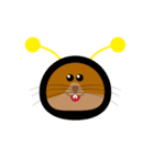 Jimmy - the crazy guinea pig（個別スタンプ：37）