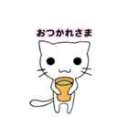 しろにゃんこ！（個別スタンプ：19）