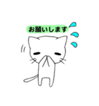 しろにゃんこ！（個別スタンプ：20）