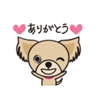 わんわんず（個別スタンプ：1）
