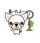 わんわんず（個別スタンプ：4）