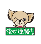 わんわんず（個別スタンプ：5）