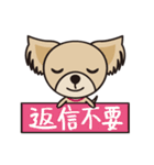 わんわんず（個別スタンプ：7）