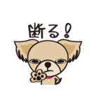 わんわんず（個別スタンプ：9）