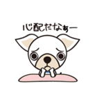 わんわんず（個別スタンプ：10）