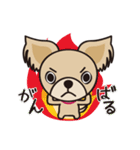 わんわんず（個別スタンプ：11）