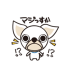 わんわんず（個別スタンプ：12）