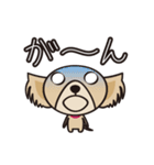 わんわんず（個別スタンプ：13）