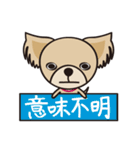 わんわんず（個別スタンプ：21）