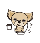 わんわんず（個別スタンプ：25）