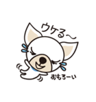 わんわんず（個別スタンプ：30）