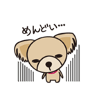 わんわんず（個別スタンプ：33）