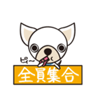 わんわんず（個別スタンプ：34）