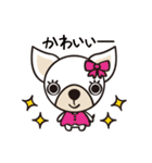 わんわんず（個別スタンプ：36）