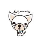 わんわんず（個別スタンプ：38）