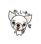わんわんず（個別スタンプ：40）