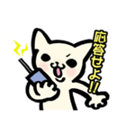 こねこはん（個別スタンプ：20）