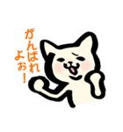 こねこはん（個別スタンプ：28）