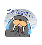 トドクロちゃん（個別スタンプ：11）